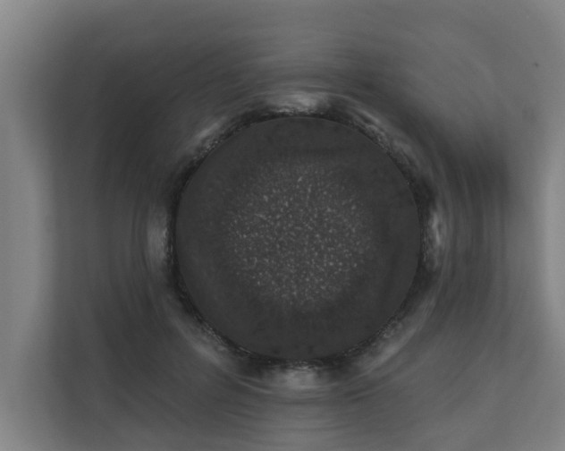 X0000110760600200906151307