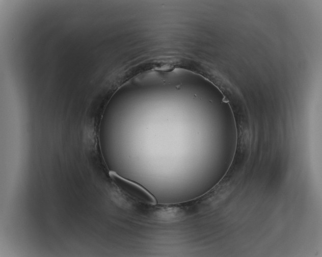 X0000110760609200906151307