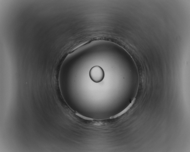 X0000110760611200906151307