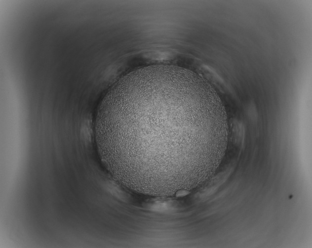 X0000110760612200906151307