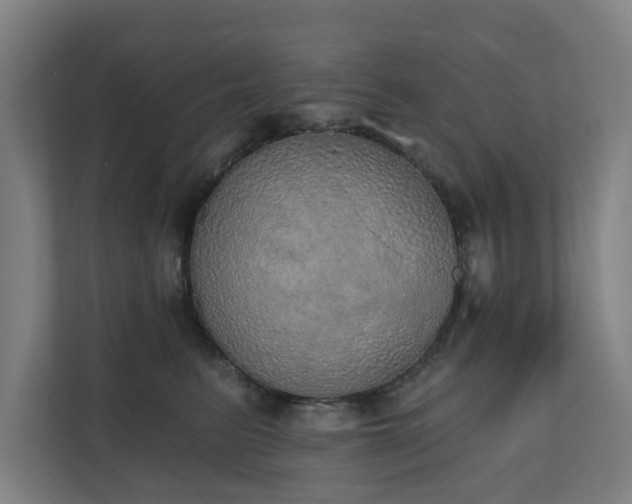 X0000110760615200906151307