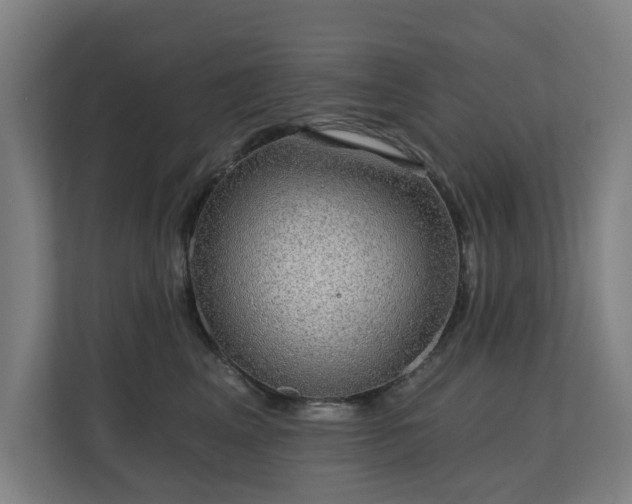 X0000110760617200906151307