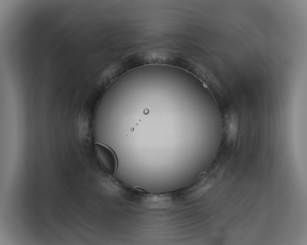 X0000110760619200906151307