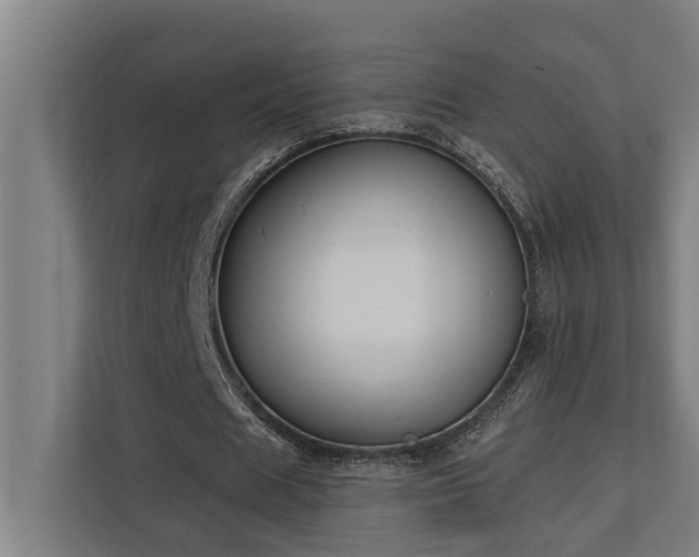 X0000110760625200906151306