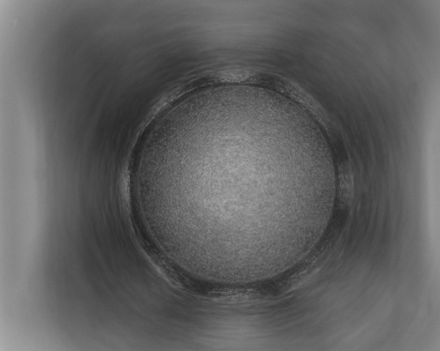 X0000110760626200906151306