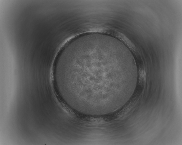 X0000110760628200906151306