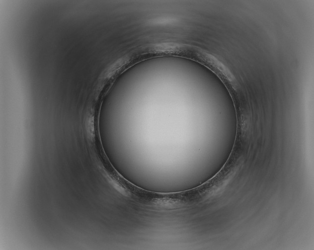 X0000110760633200906151306