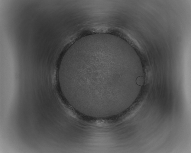 X0000110760641200906151306