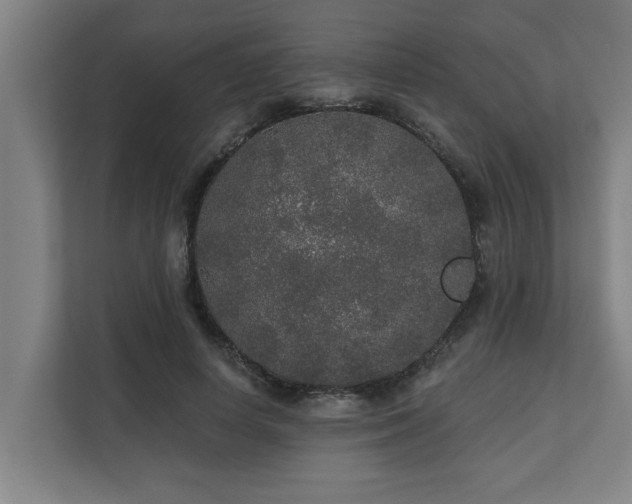 X0000110760642200906151306