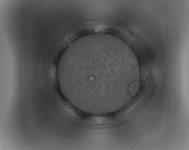 X0000110760650200906151306