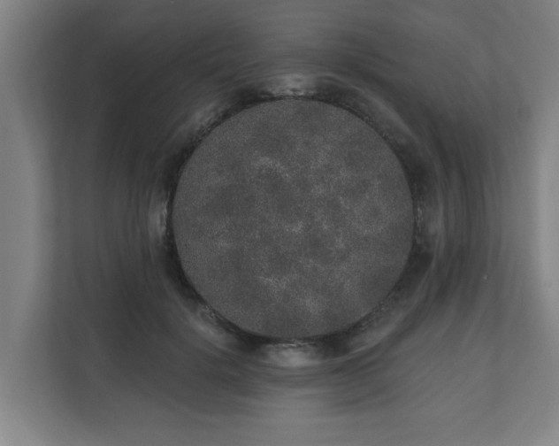 X0000110760652200906151307