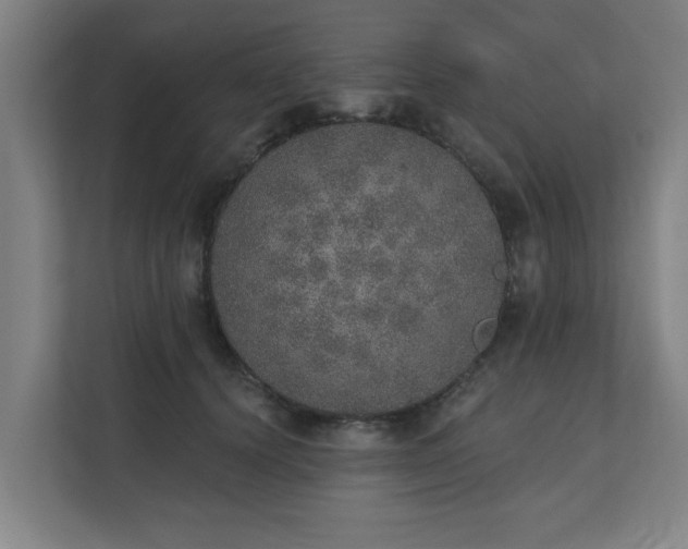 X0000110760656200906151307