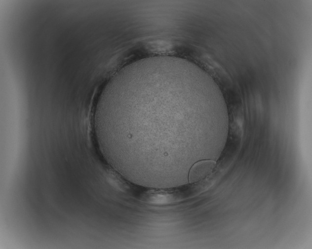 X0000110760658200906151307