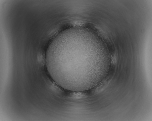 X0000110760666200906151307