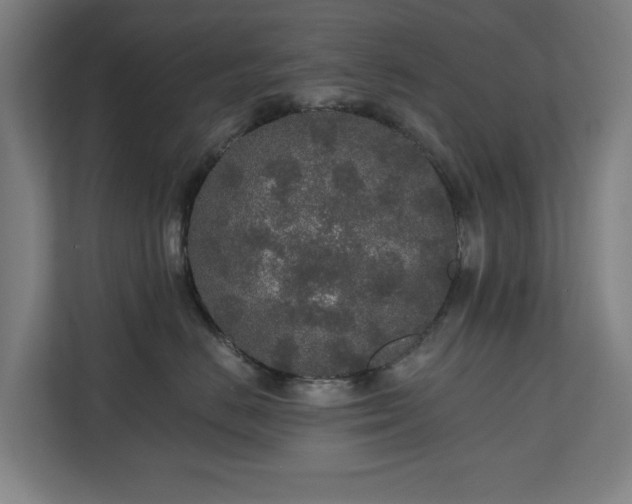X0000110760670200906151307