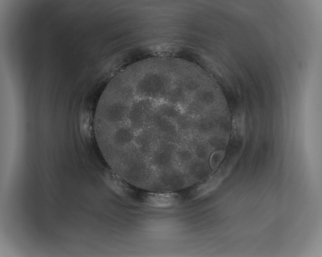 X0000110760671200906151307
