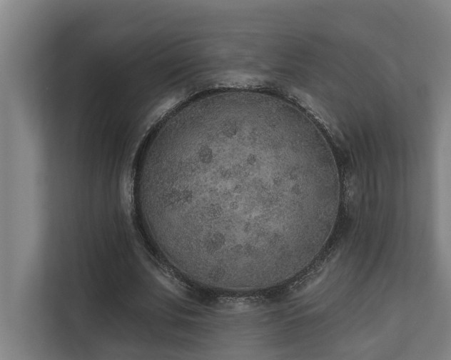 X0000110760679200906151306