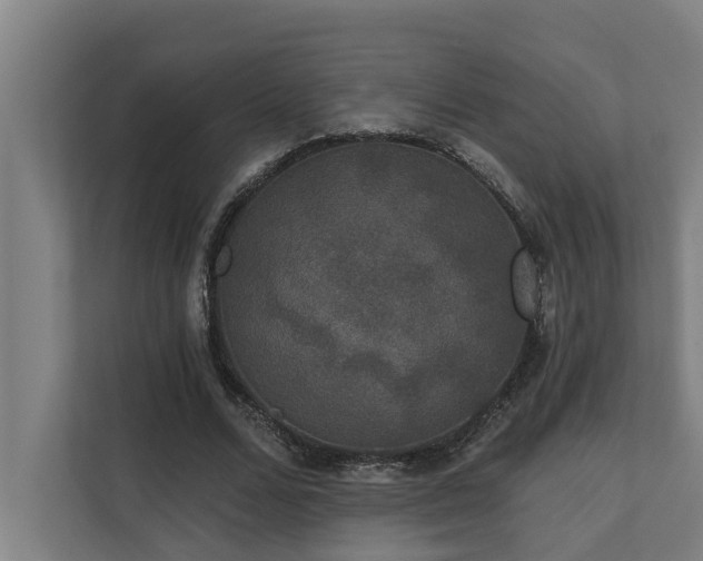 X0000110760680200906151306