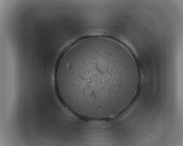 X0000110760681200906151306