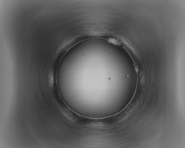 X0000110760685200906151306