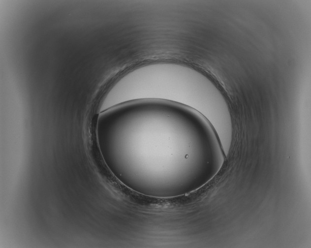 X0000110760688200906151306