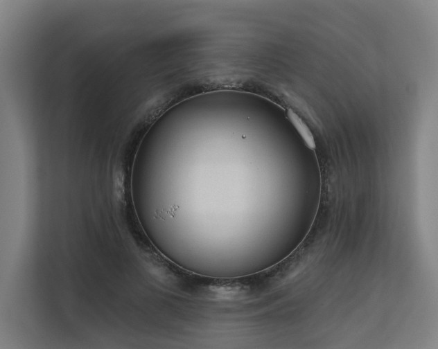 X0000110760693200906151306