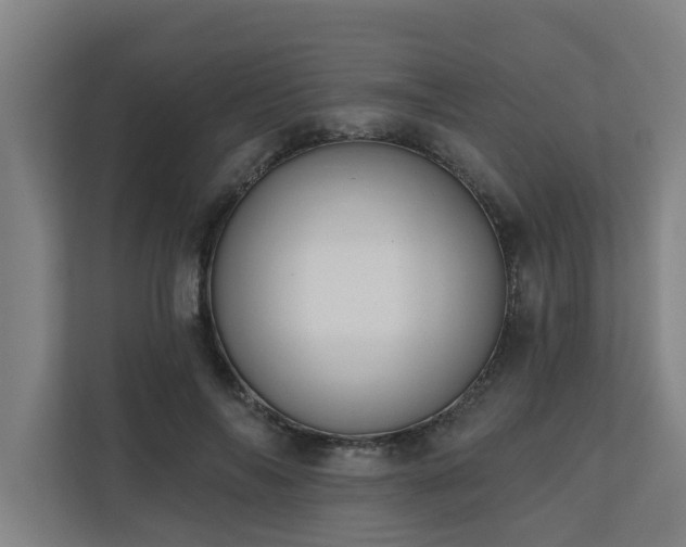 X0000110760694200906151306