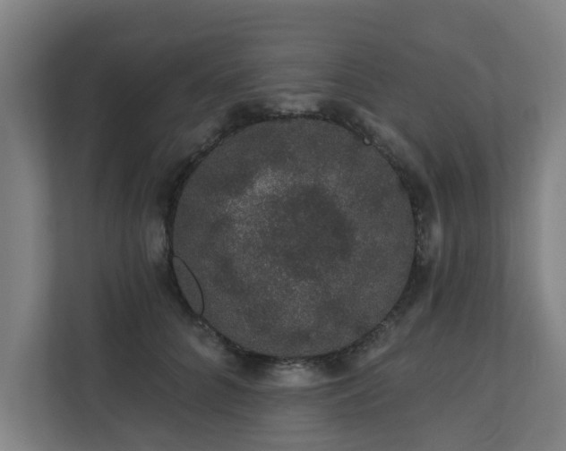 X0000110760704200906151306