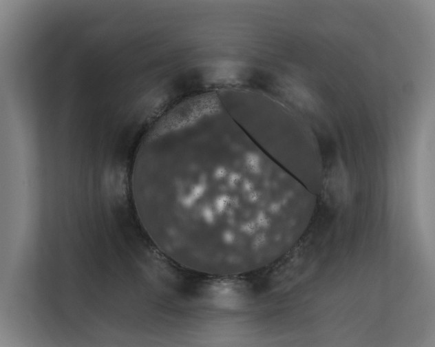 X0000110760708200906151306