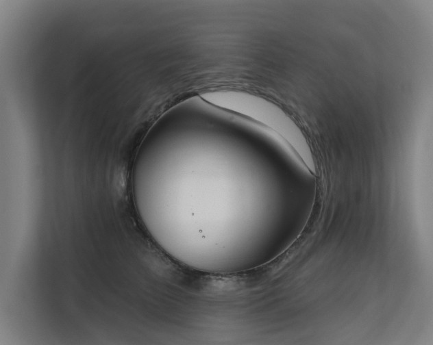 X0000110760709200906151306