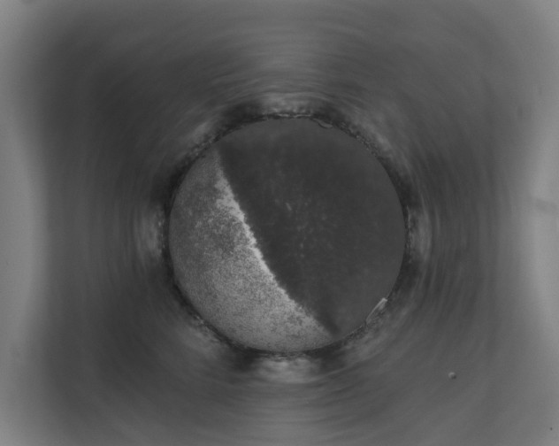 X0000110760712200906151306