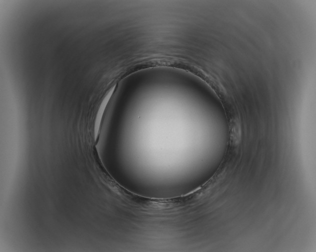 X0000110760713200906151306