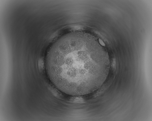 X0000110760715200906151306