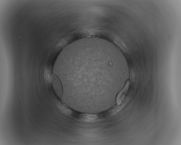 X0000110760719200906151306
