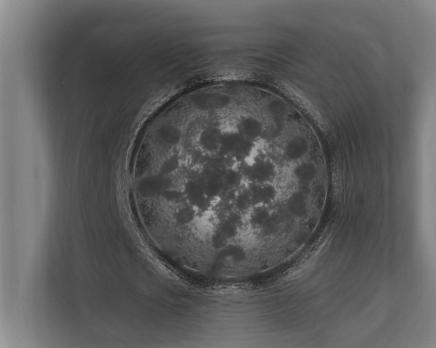 X0000110760721200906151305