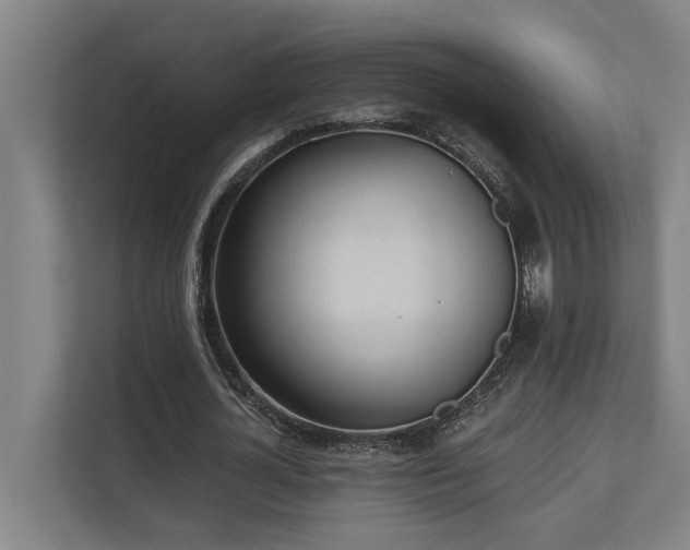 X0000110760724200906151305