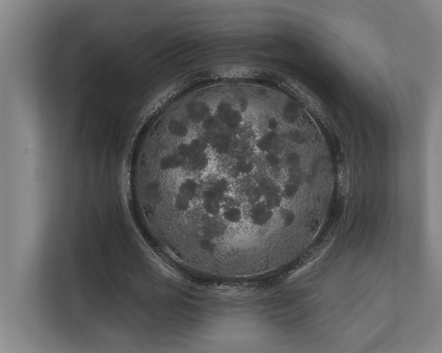 X0000110760725200906151305