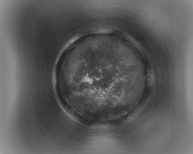 X0000110760726200906151305