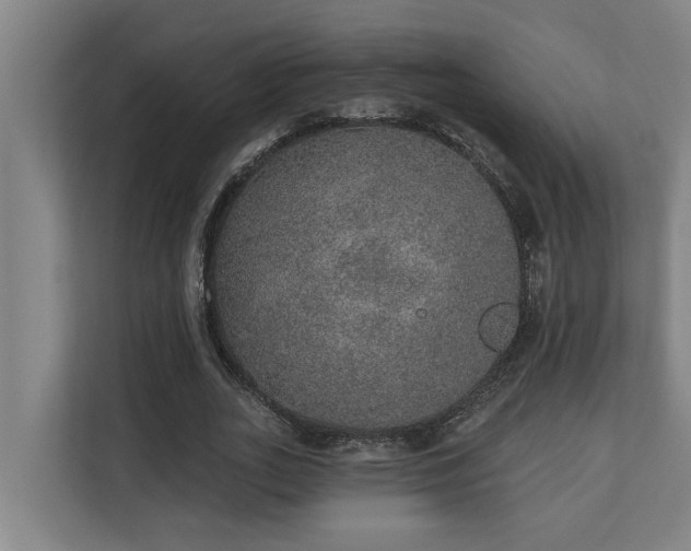 X0000110760727200906151305