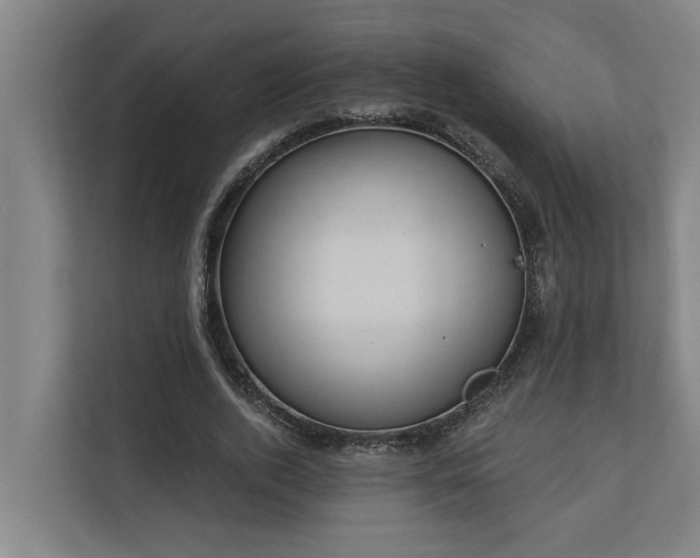 X0000110760728200906151305