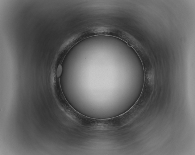 X0000110760732200906151305