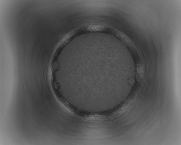 X0000110760734200906151305