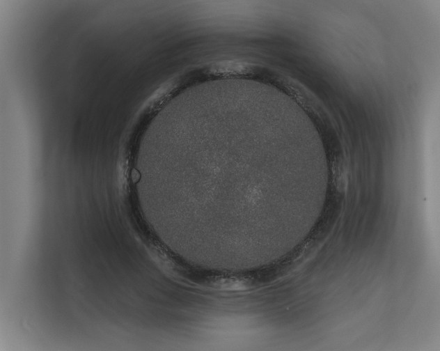 X0000110760735200906151305