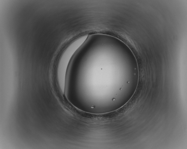 X0000110760736200906151305
