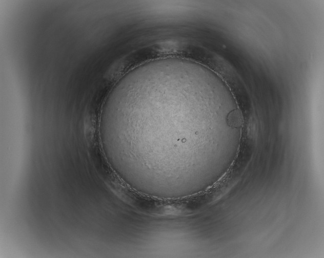 X0000110760737200906151305