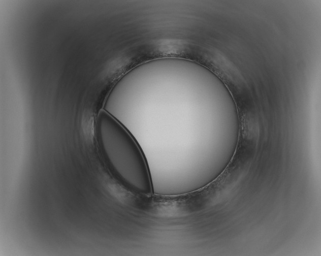 X0000110760740200906151305