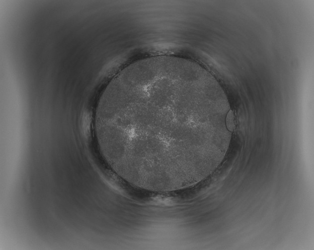 X0000110760742200906151305