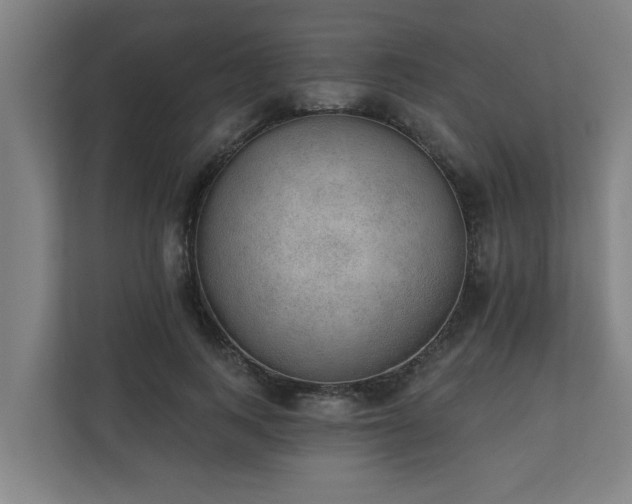 X0000110760743200906151305