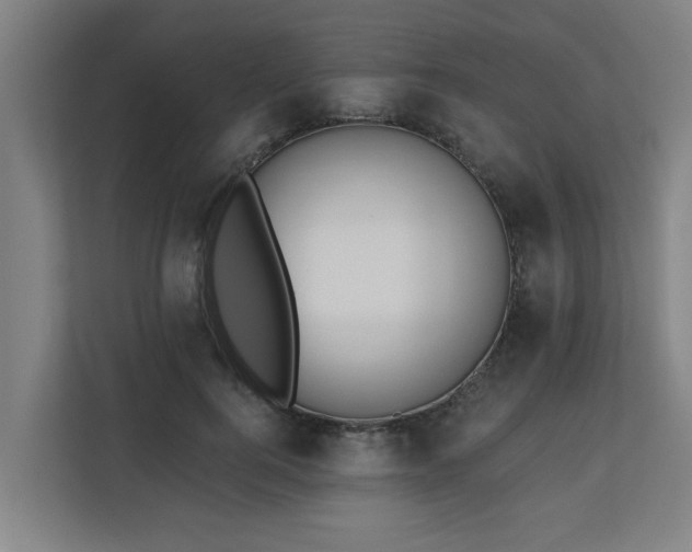 X0000110760744200906151305