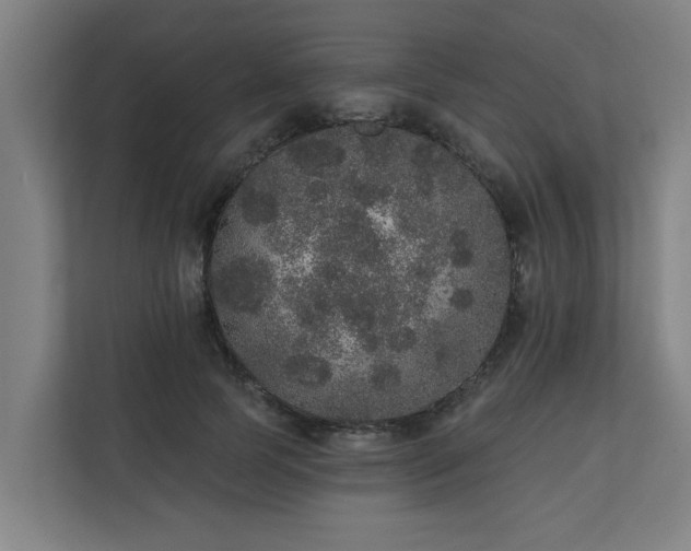 X0000110760745200906151305